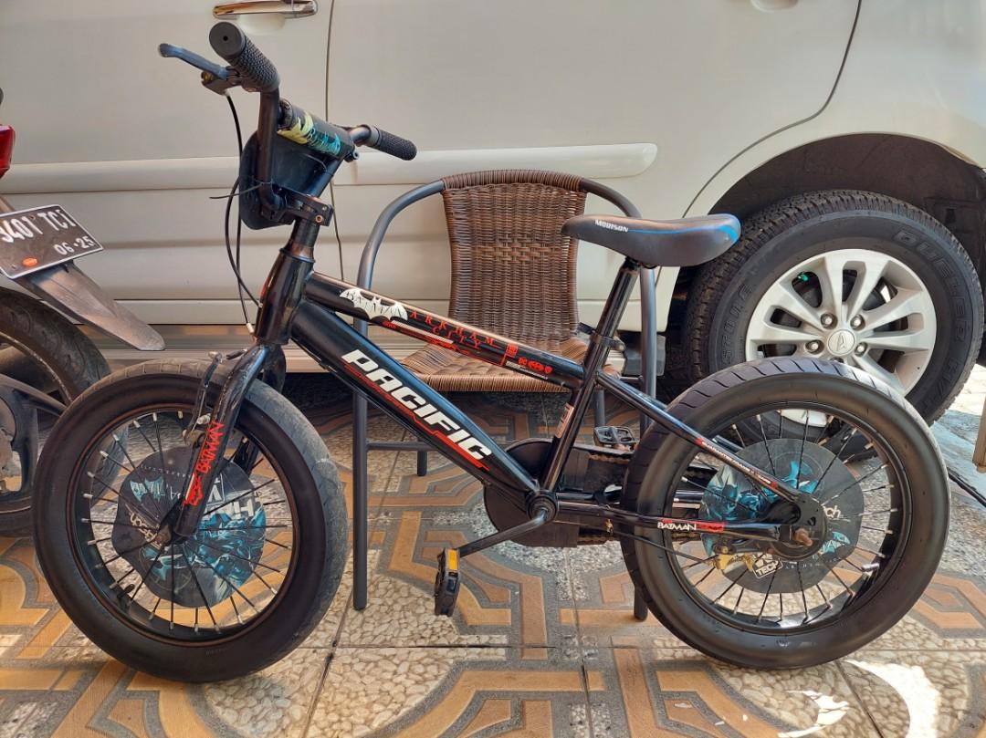 Pacific outlet bmx 20