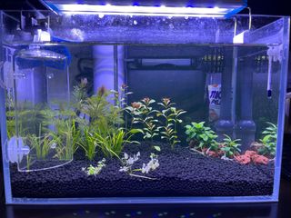 (Category: ) located in . Submitted by jovan_cool (Listing ID 1103275003, Image 1). Description: .