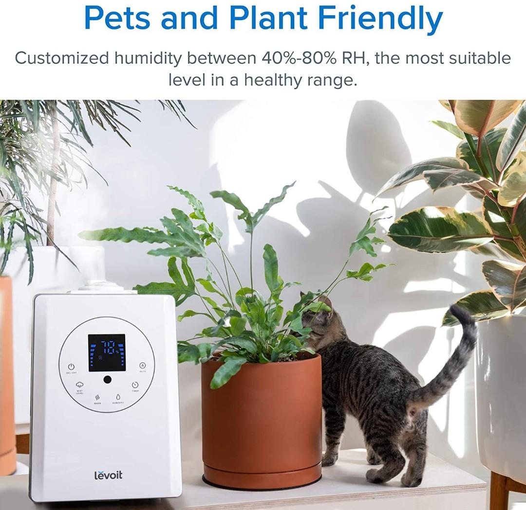 Levoit Humidifier for Home Bedroom 6L, Warm & Cool Mist Essential Oil