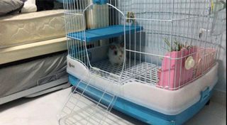 (Category: ) located in . Submitted by whatever.anything (Listing ID 1103303961, Image 1). Description: .
