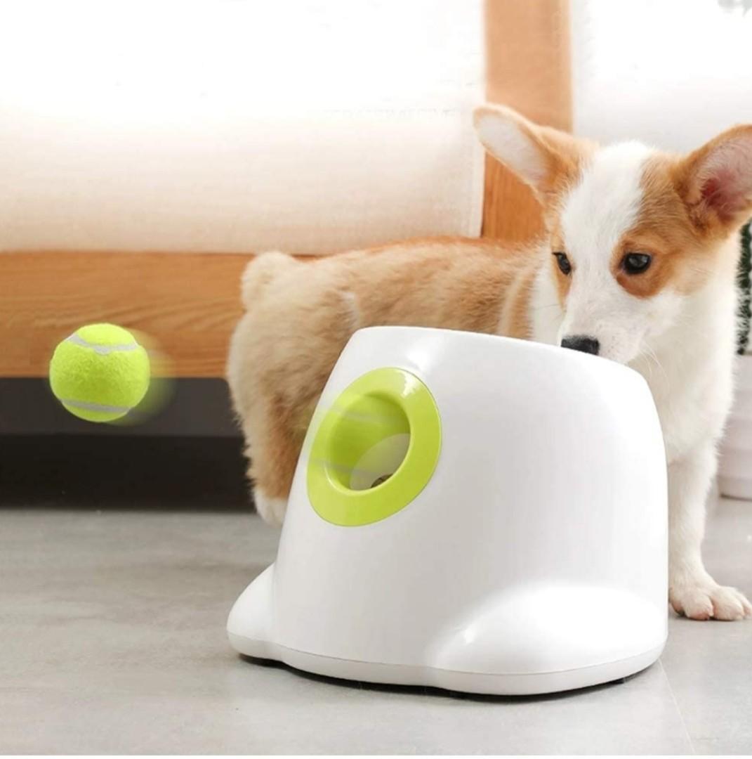 Automatic Ball Launcher Dog Ball Thrower Machine Hyper Fetch Tennis Ball Pet Supplies Homes Other Pet Accessories on Carousell