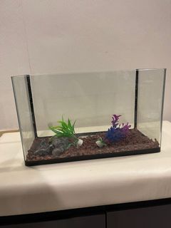 (Category: ) located in . Submitted by rey123345 (Listing ID 1103454410, Image 1). Description: .