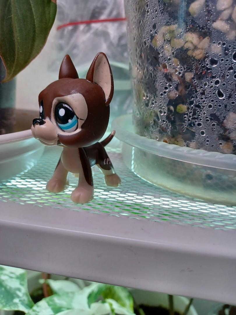 Lps littlest pet shop great dane variant round eyes