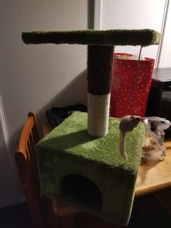 (Category: ) located in . Submitted by missanj (Listing ID 1103395985, Image 1). Description: .