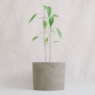 (Category: ) located in . Submitted by komo.pots (Listing ID 1103484871, Image 1). Description: .