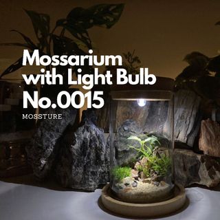 （分類：）位於 。 由 mossture 提交（商品編號 1103504207，圖片 1）。簡介： 。