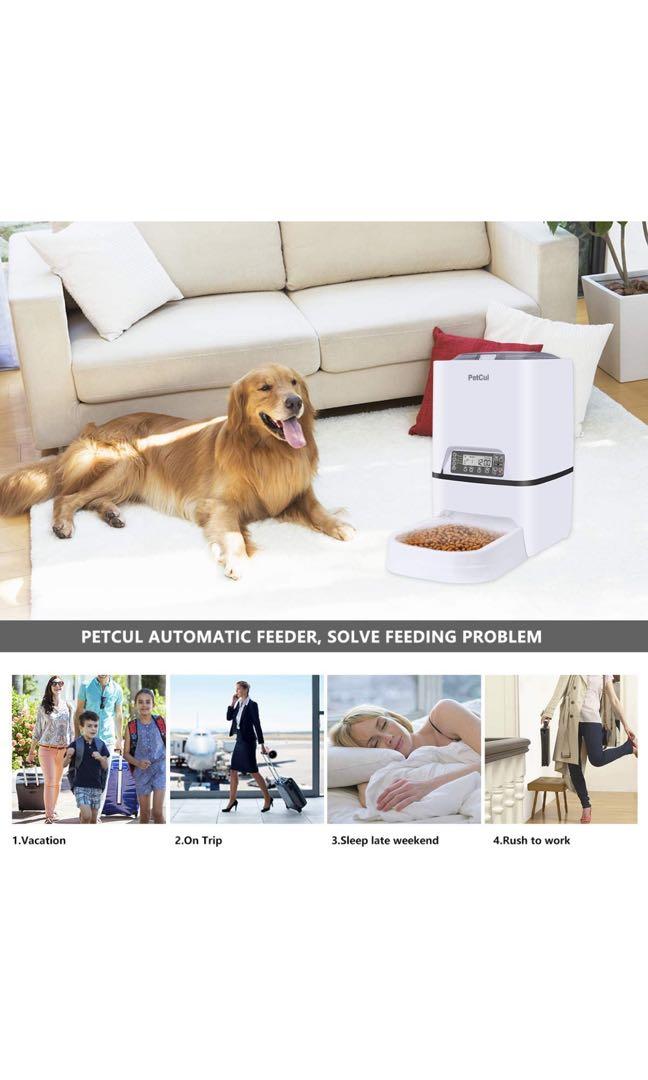 Petcul outlet automatic feeder