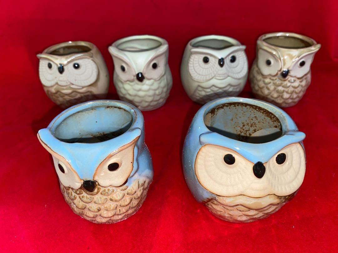 Stock clearance - Cute Mini Owl Pots for Cactus Succulent, Furniture