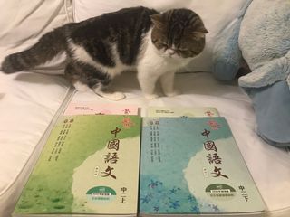 （分類：）位於 。 由 ahtszzz 提交（商品編號 1103683195，圖片 1）。簡介： 。