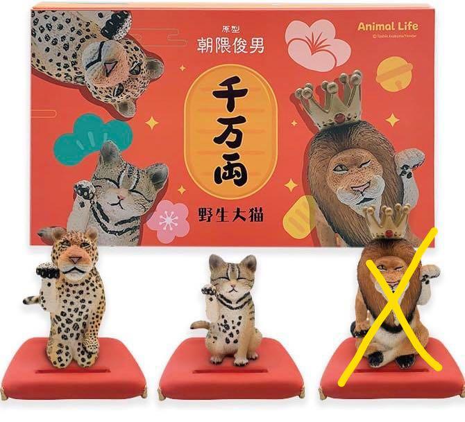 朝隈俊男animal Life 招財野生大貓 花豹 山貓 興趣及遊戲 玩具 遊戲類 Carousell