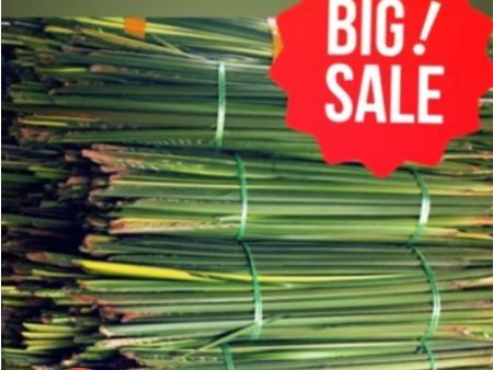 Daun Palas Untuk Membuat Ketupat Home Furniture Home Decor On Carousell