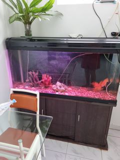(Category: ) located in . Submitted by lschua3333 (Listing ID 1103564064, Image 1). Description: .