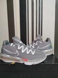 Lebron 17 low