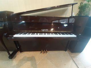 Yamaha Grand and Upright  Pianos