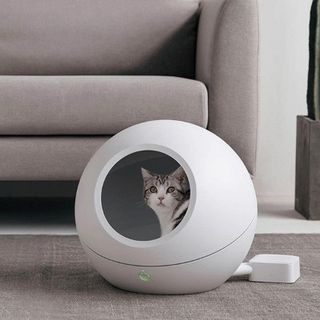 （分類：）位於 。 由 2monsterz_pets 提交（商品編號 1103862636，圖片 1）。簡介： 。