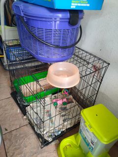 (Category: ) located in . Submitted by abdhadimdhdzr (Listing ID 1103788095, Image 1). Description: .