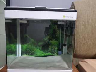 (Category: ) located in . Submitted by flo-rida (Listing ID 1103780645, Image 1). Description: .