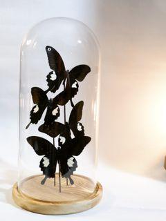 Black Butterflies Dome