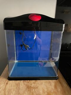 (Category: ) located in . Submitted by kathy_premier (Listing ID 1103823253, Image 1). Description: .