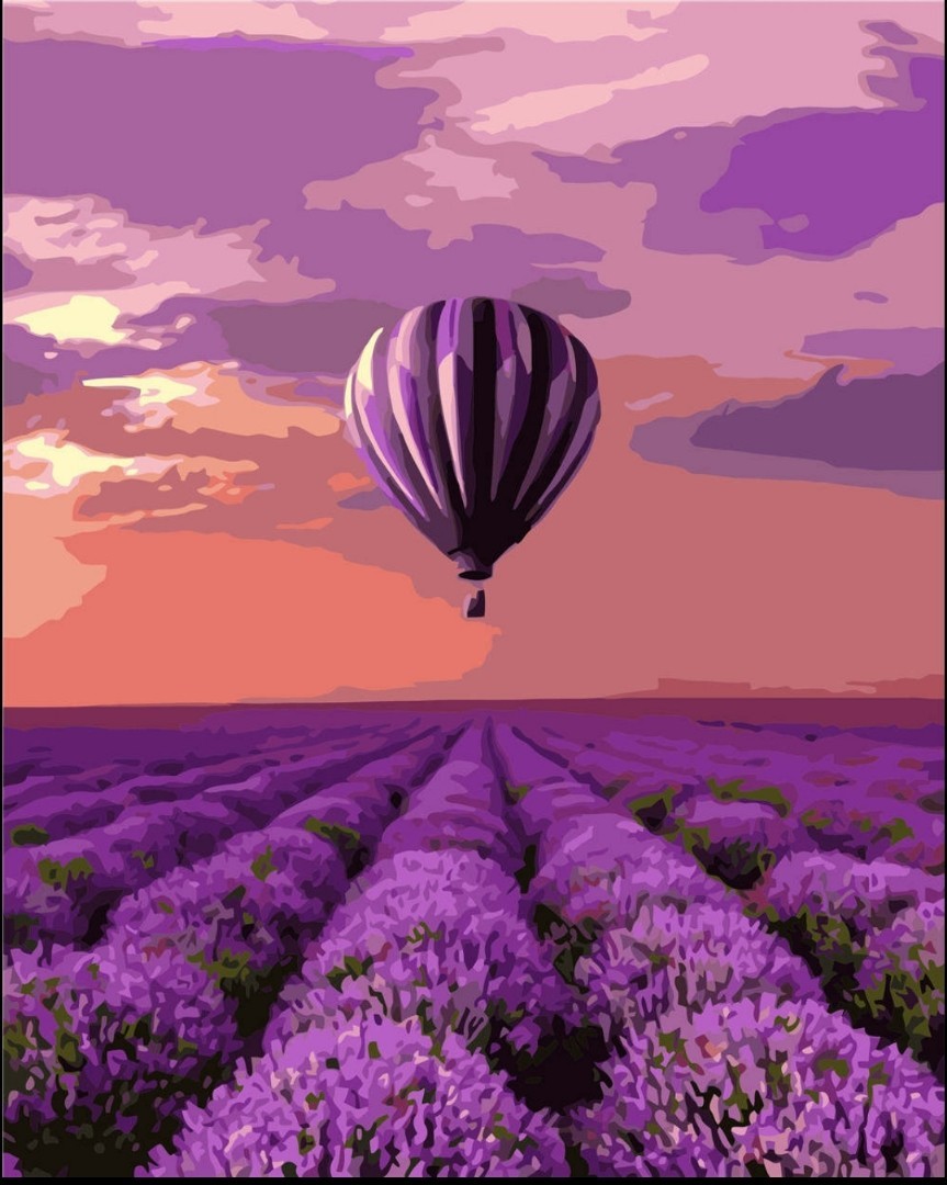 Framed DIY Digital painting by numbers 50*40cm, Hobbies & Toys