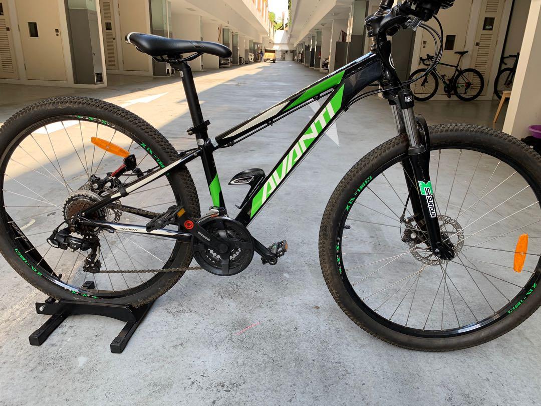 Avanti montari 1 outlet 2021 review