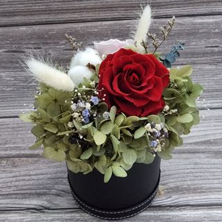 (Category: ) located in . Submitted by joliedabbles (Listing ID 1103816505, Image 1). Description: .