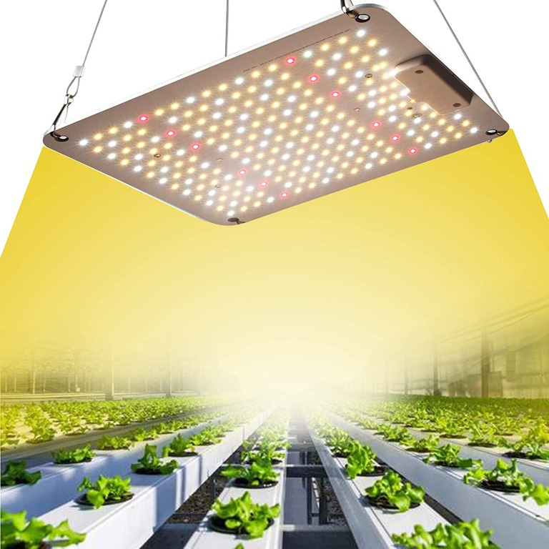 https://media.karousell.com/media/photos/products/2021/7/3/__1000w_led_grow_light_for_ind_1625288068_44da076c