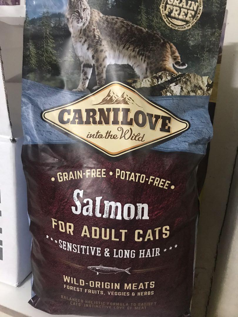 Carnilove cat salmon online
