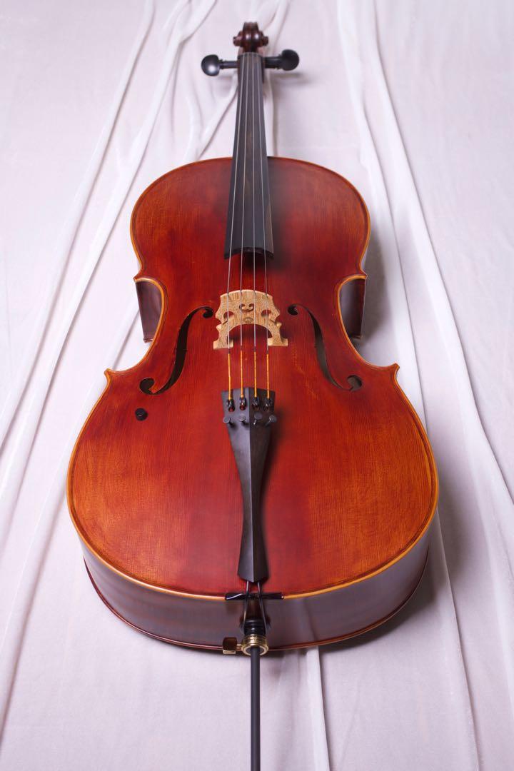 Advance/intermediate Cello, Hobbies & Toys, Music & Media, Musical