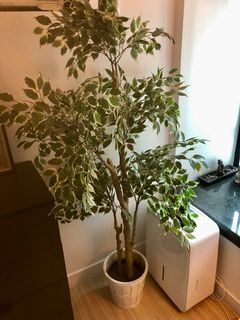 （分類：）位於 。 由 yalene00 提交（商品編號 1098290720，圖片 1）。簡介： 。