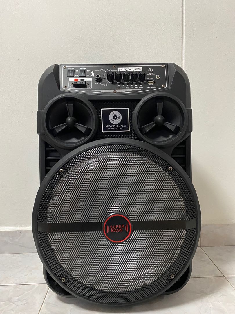 Single 12 Inch Bluetooth Trolley Speaker/Karaoke system, Hobbies & Toys