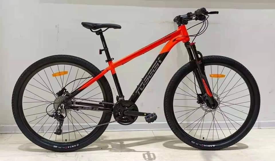 toseek brandon 29er 2023