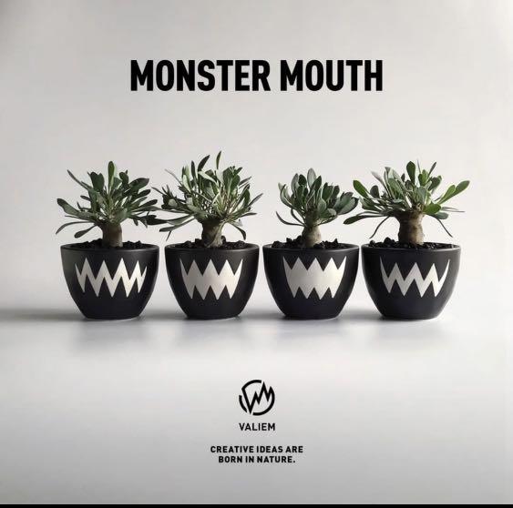 Valiem monster mouth size m full set with tags and packing, 運動