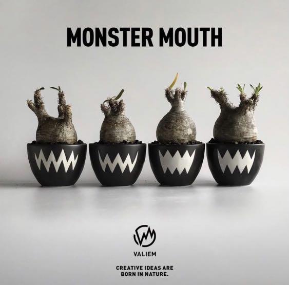 Valiem monster mouth size m full set with tags and packing, 運動