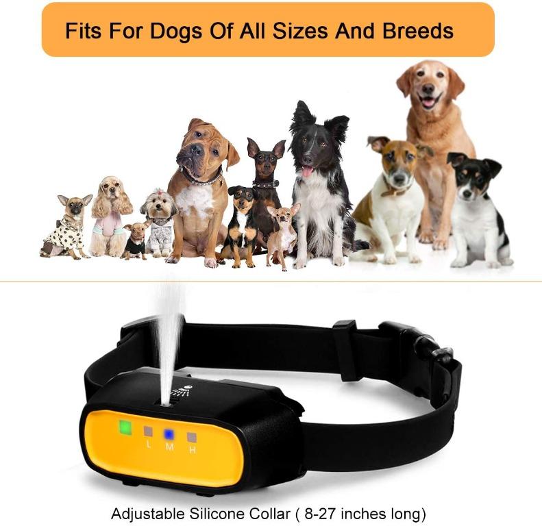Wwvvpet clearance