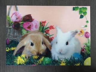 (Category: ) located in . Submitted by bsjunwei (Listing ID 1103989258, Image 1). Description: .