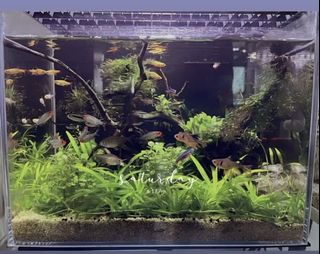 (Category: ) located in . Submitted by 773kh (Listing ID 1103914280, Image 1). Description: .