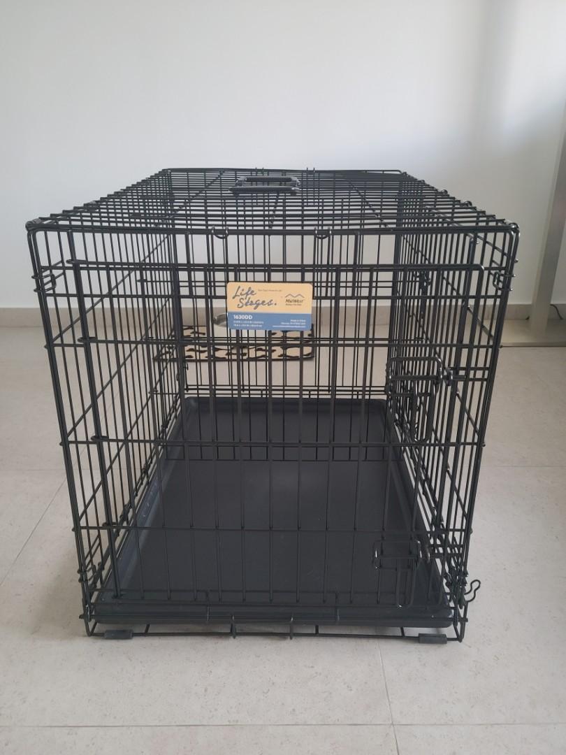 MidWest Homes for Pets Life Stages Double Door Folding Metal Dog Crate Black 30 X 21 X 24 Inch 30 Inch w Divider 1630DD Pet Supplies Homes Other Pet Accessories on Carousell