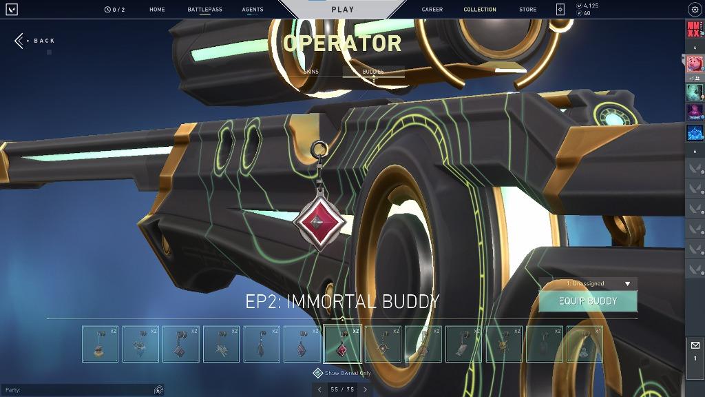 Stacked Valorant Account (Immortal gun buddy 4x), Video Gaming, Gaming