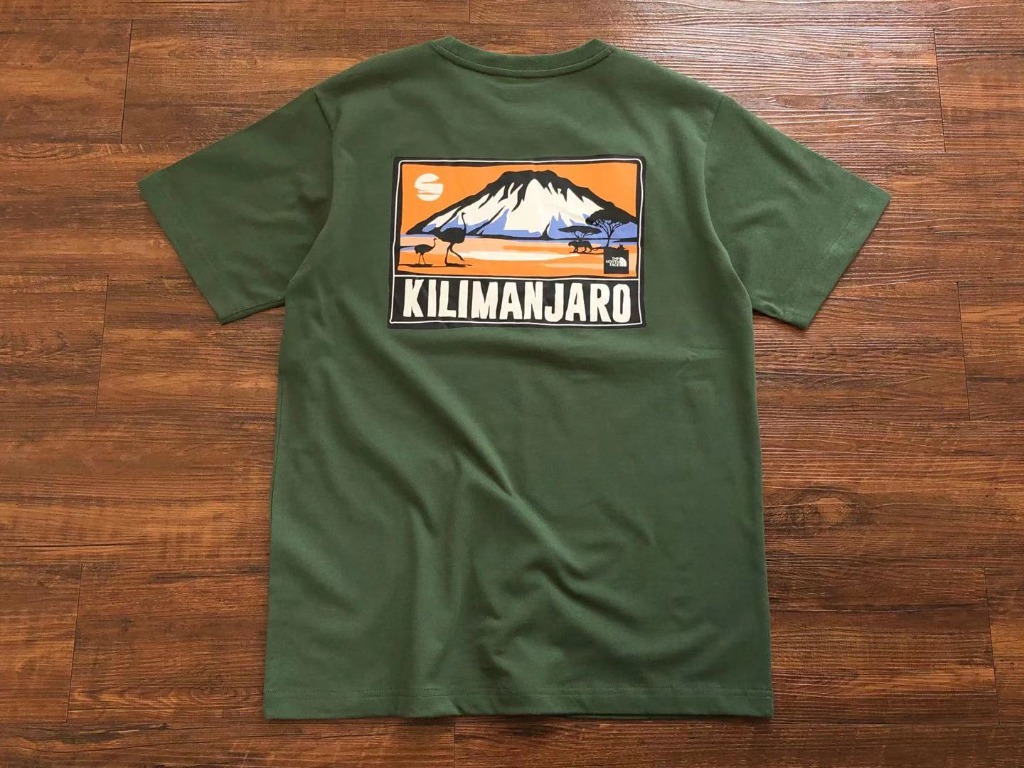 The north discount face of kilimanjaro