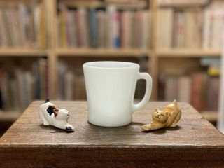 （分類：）位於 。 由 alina_tay 提交（商品編號 1103914911，圖片 1）。簡介： 。