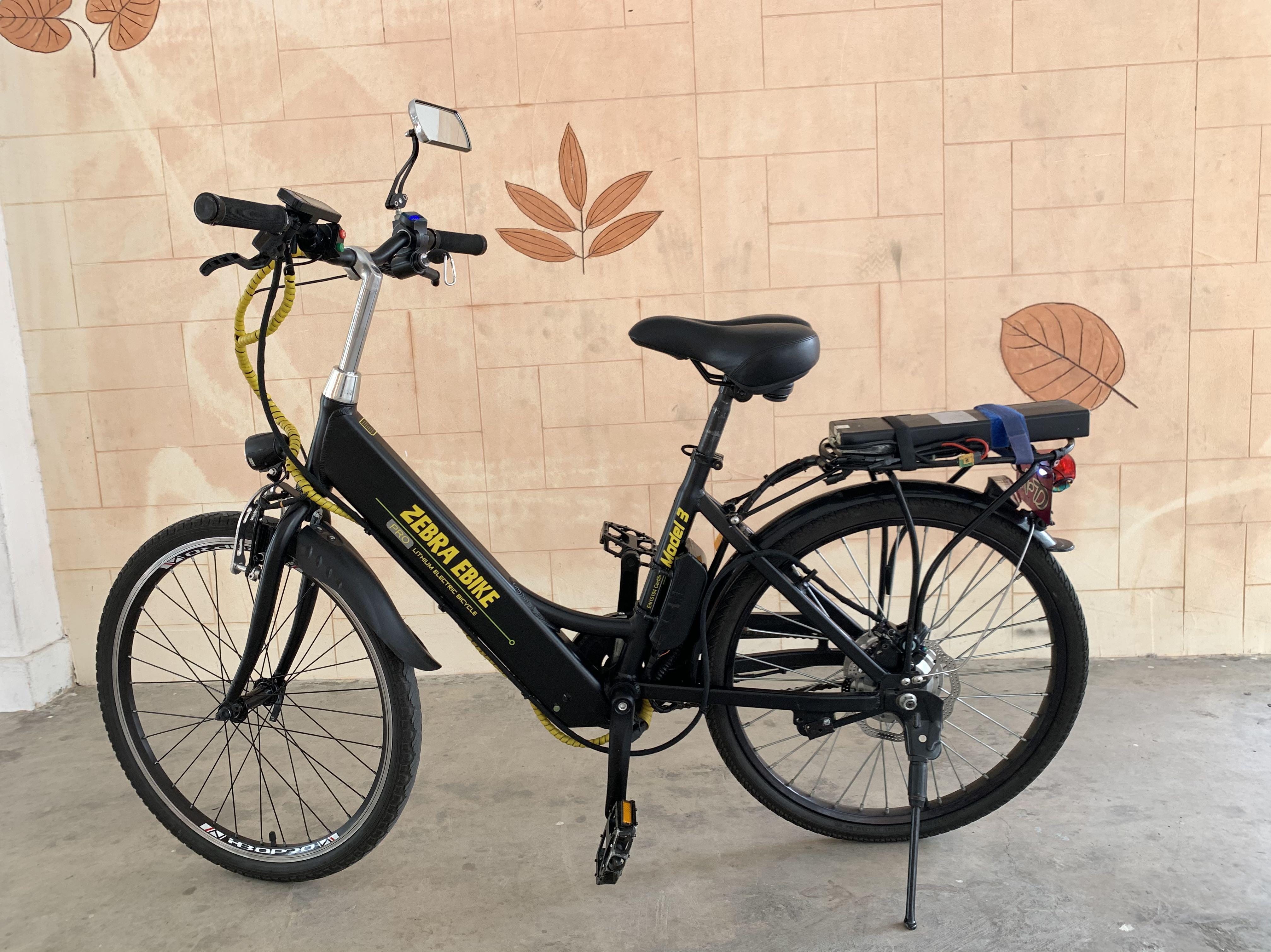 Zebra ebike sale
