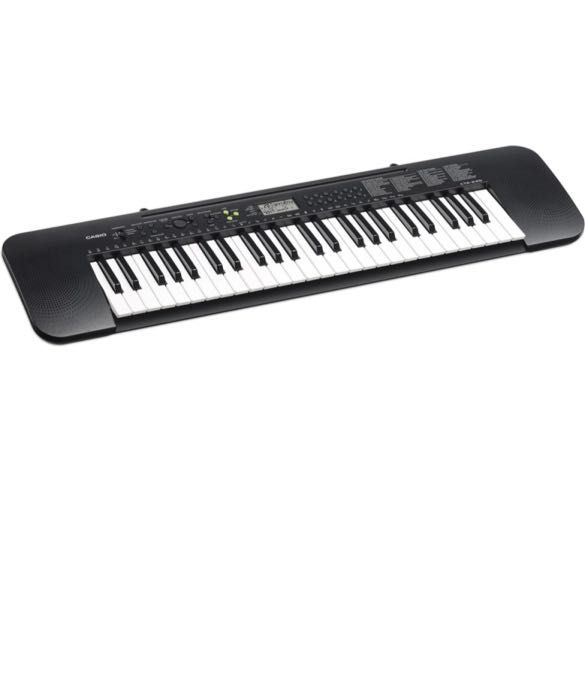 Casio ctk top 245 price