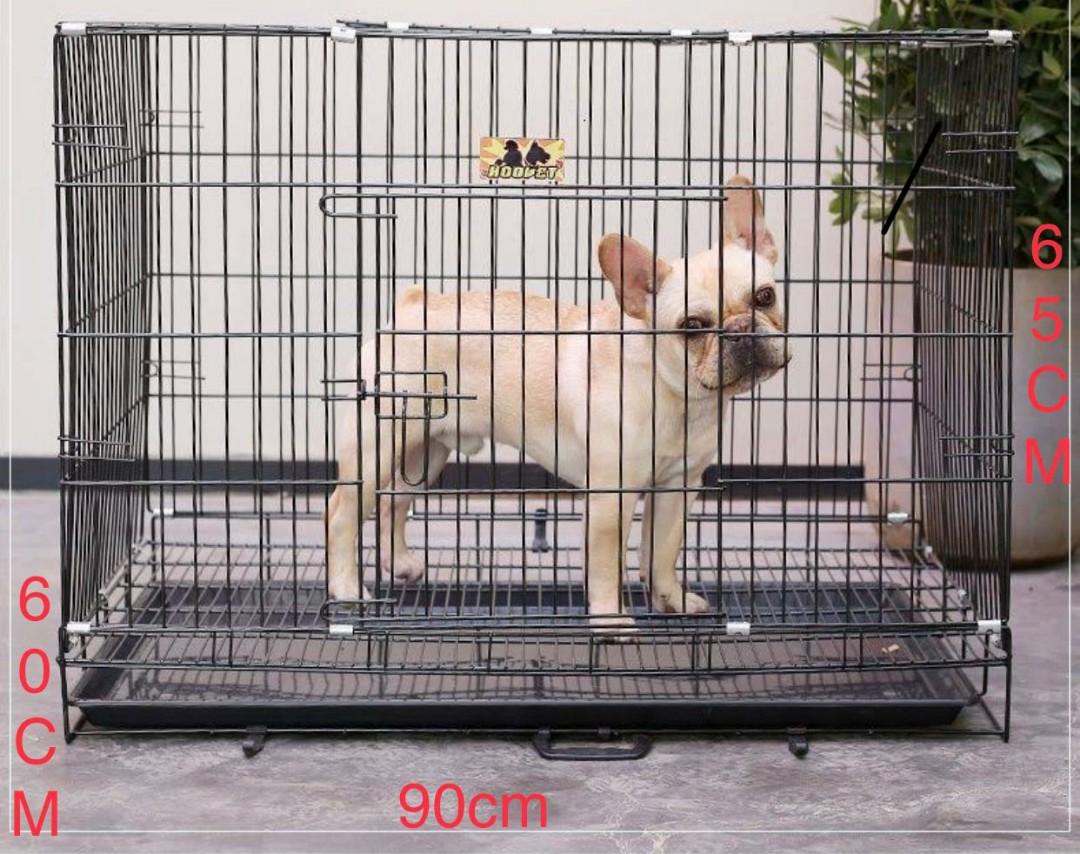 Dog crate, Pet Supplies, Homes & Other Pet Accessories on Carousell