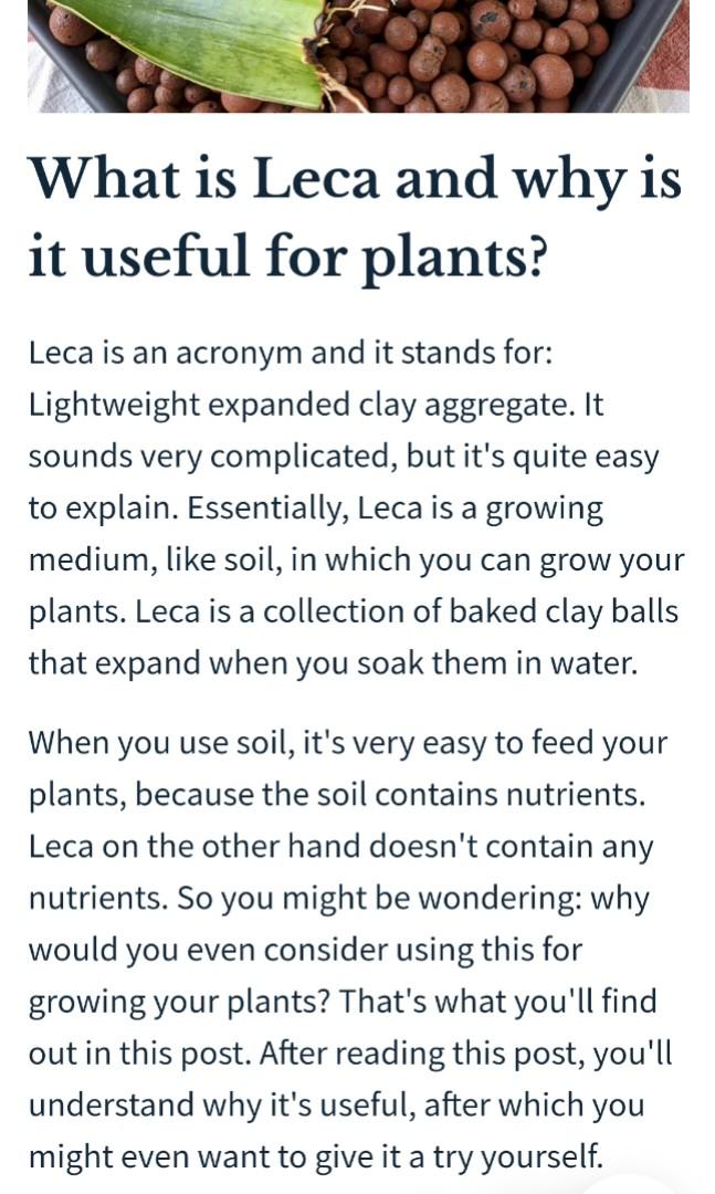 What is Leca and why is it useful for plants?