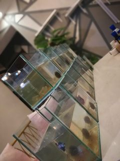 (Category: ) located in . Submitted by round_round (Listing ID 1098602294, Image 1). Description: .