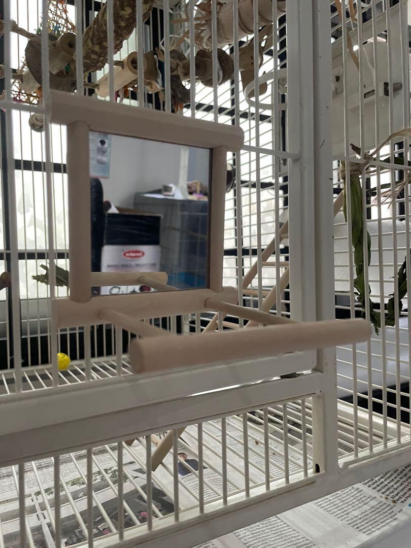 Cage Mirror (Category: Homes & Other Pet Accessories) located in Singapore. Submitted by cheeesepie (Listing ID 1098568310, Image 1). Description: Approx 10cmx10cmx10cm. Never used. Good for budgies and lovebirds. Can be hooked on cage. .