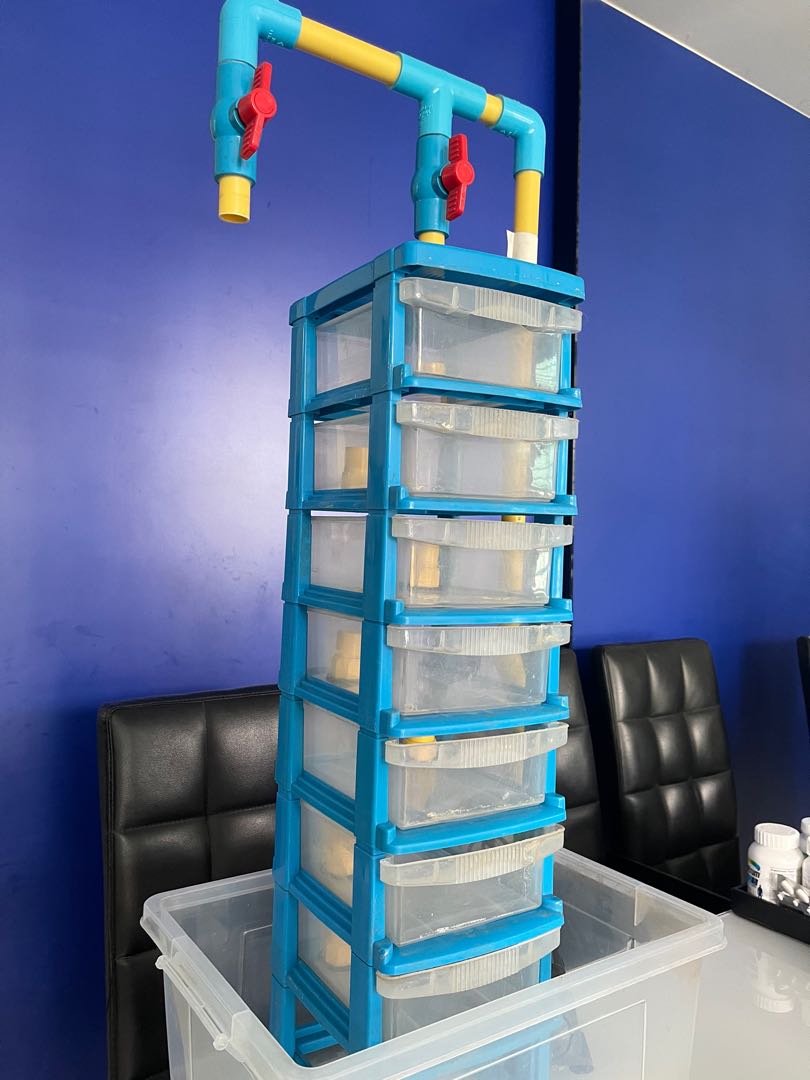 Crayfish customised condo setup for breeding, Pet Supplies, Homes