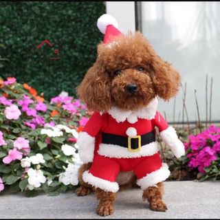 (Category: ) located in . Submitted by watsoncloset (Listing ID 1098564731, Image 1). Description: .