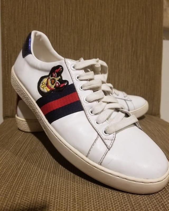 Gucci cat and dog sneakers online